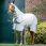 Amigo Hoody Ripstop Hals Silver