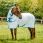 De Amigo Aussie allrounder Disc