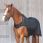 Back on track walker rug