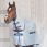 Bucas Buzz Off Fly Rug with Hood