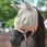 Bucas Freedom Vliegenmasker Hazelnut