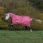 Bucas Freedom Turnout With Neck Raspberry