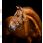 Horseware Signature Leather Headcollar Brown