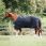 Dominick Outdoor Rug 2023 350GR