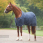 Dominick Stable Rug