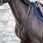 Dy'on Martingale Yoke