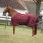 Equithème Turnout Rug 1200D Tyrex 450 G
