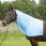 Busse Sweetitch Hood Zip