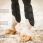Horseware Adagio Beschermers