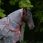 Bucas irish turnout combi neck