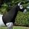 Lemieux Hood Lycra Black