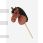 LeMieux Hobby Horse Chancer
