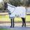 Lemieux Arika Field Rug