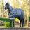 Lemieux Turnout Rug Arika Reflective 200G