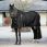 LeMieux Kudos ClimaCore Stable Rug Neck 100g