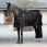 LeMieux Kudos ClimaCore Stable Rug Neck 200g