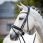 Lemieux Bridle Kudos Classic Dressage Black