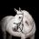 Horseware Micklem 2 Hoofdstel Competition