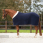 QHP Wool Rug Deluxe
