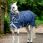 Rhino Pony Plus