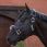 Bucas Show-Line Half Fur Halter