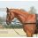 Busse side-reins rings-fixed