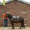 Equilibrium Massage Pad Pony