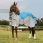 Weatherbeeta Rug Dual Shield ComFiTec