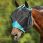 Weatherbeeta Comfitec Deluxe Fine Mask Navy/Black