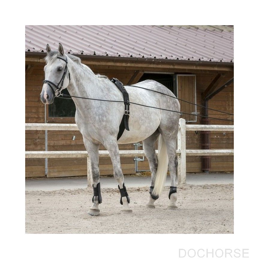 Riding World Long Reins