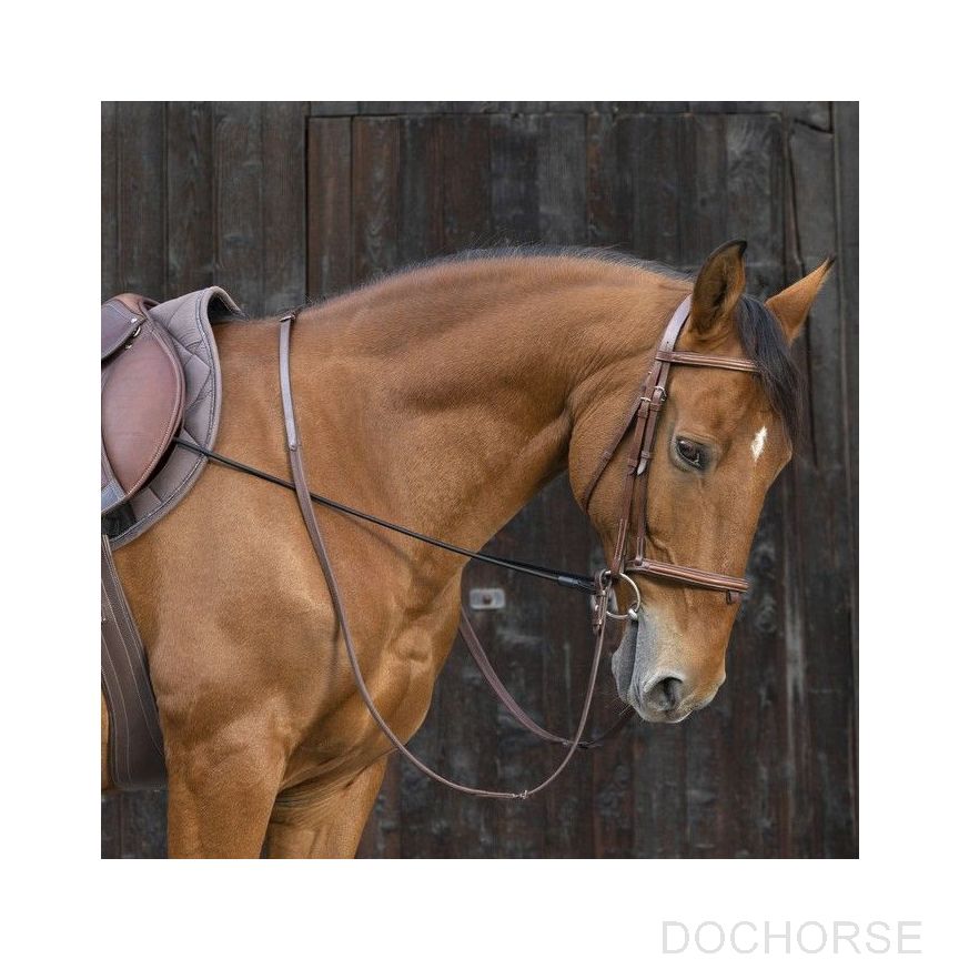 Norton Training Aid Adjustable