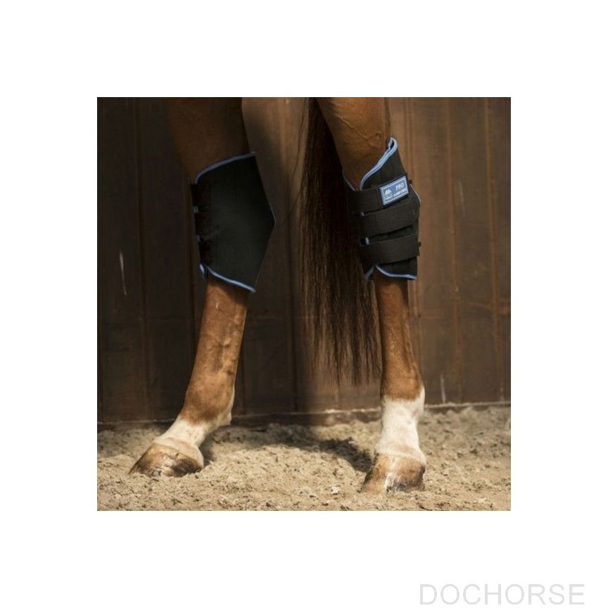 Lami-Cell Ice Boots Hock Guards