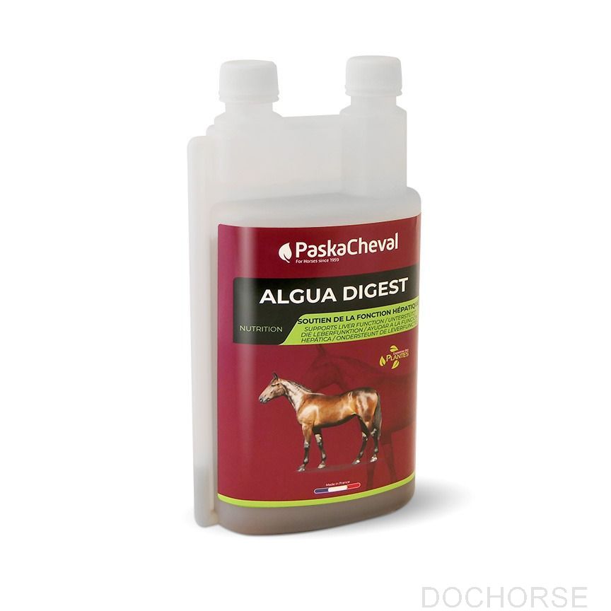PaskaCheval Algua Digest