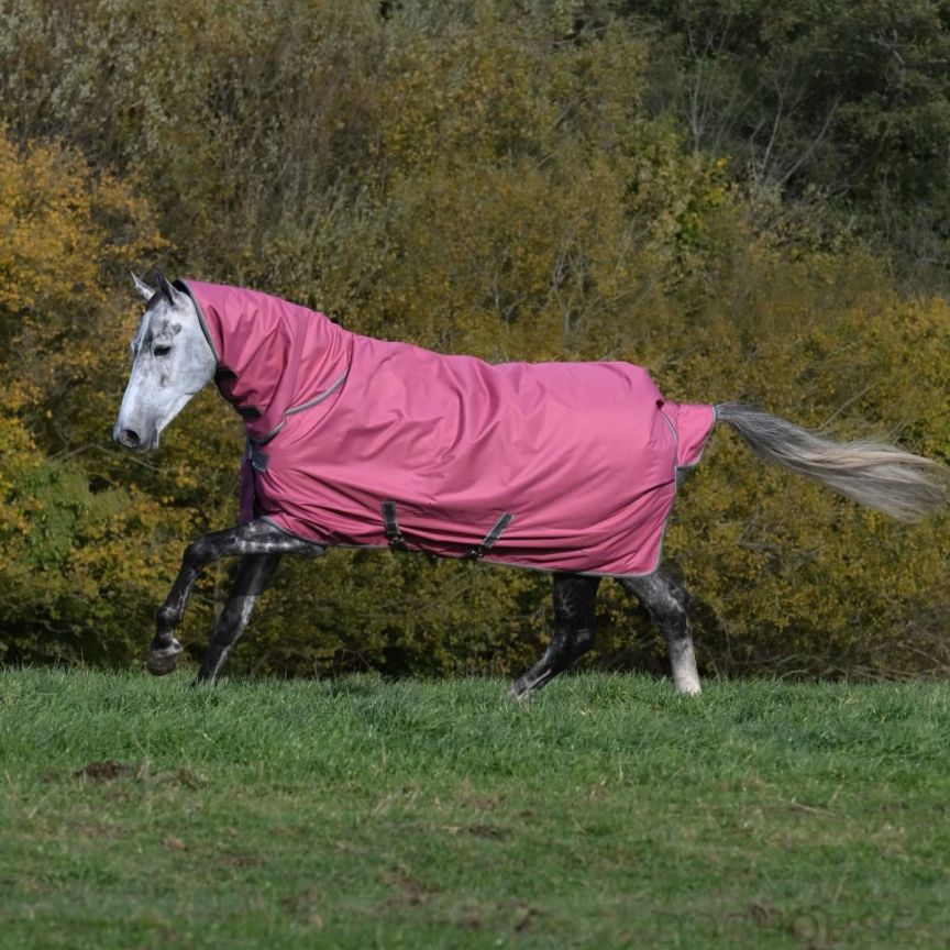 Bucas Freedom Turnout With Neck Raspberry
