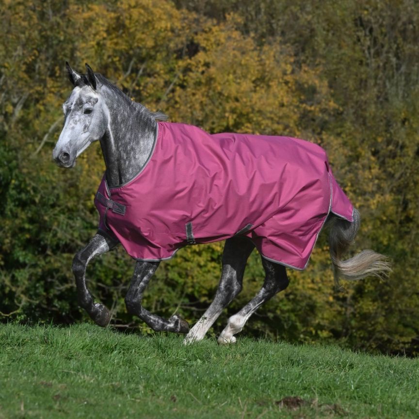 Bucas Freedom Turnout 300 gr Raspberry