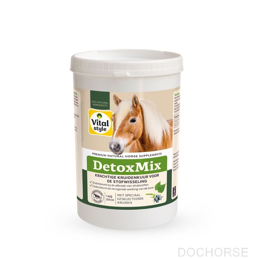 VITALstyle Detoxmix