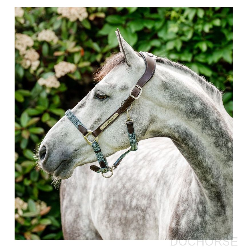 Horseware Signature Braided Headcollar Brown/Navy & Blue Haze