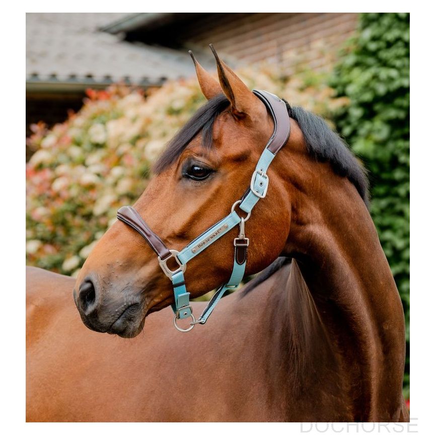 Horseware Signature Competition Headcollar Brown / Blue Haze