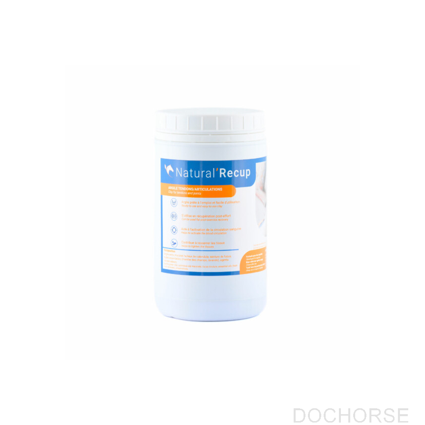 Natural Innov Natural Recup 1.3KG
