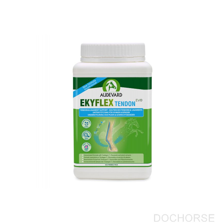audevard ekyflex tendon evo