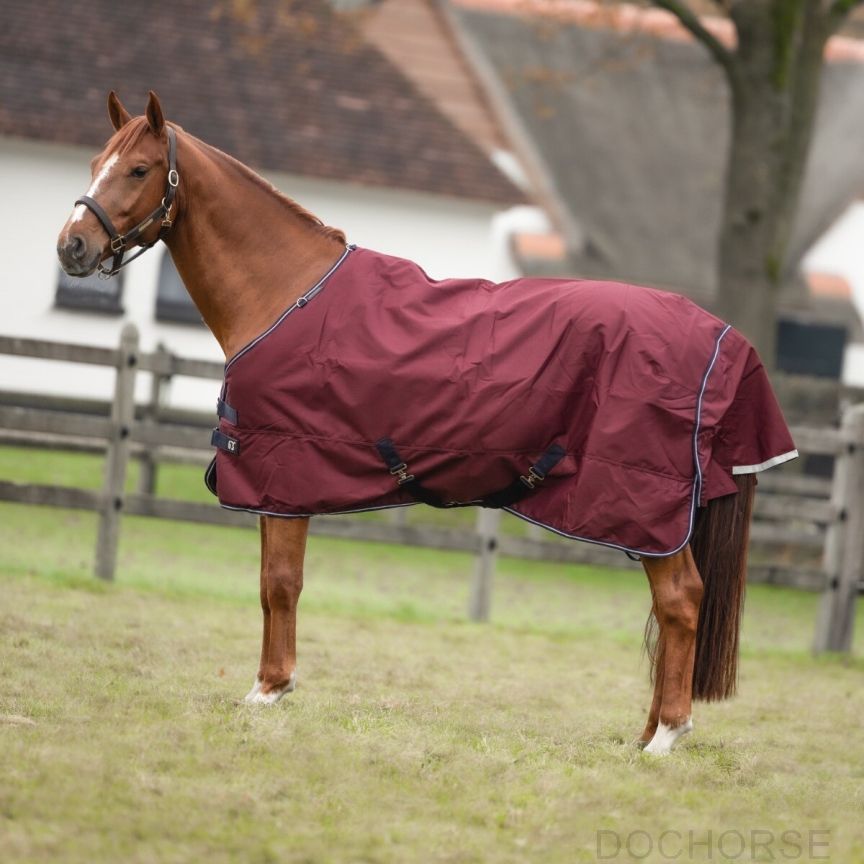 Equithème Turnout Rug 1200D Tyrex 300 G