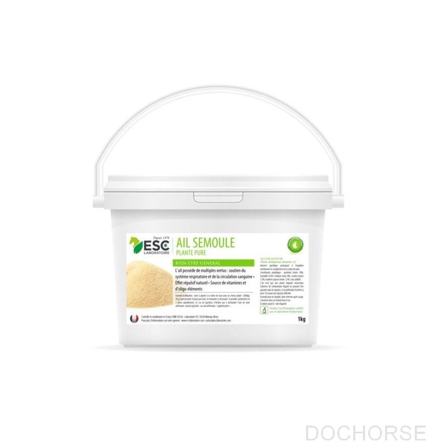 ESC Ail Semoule