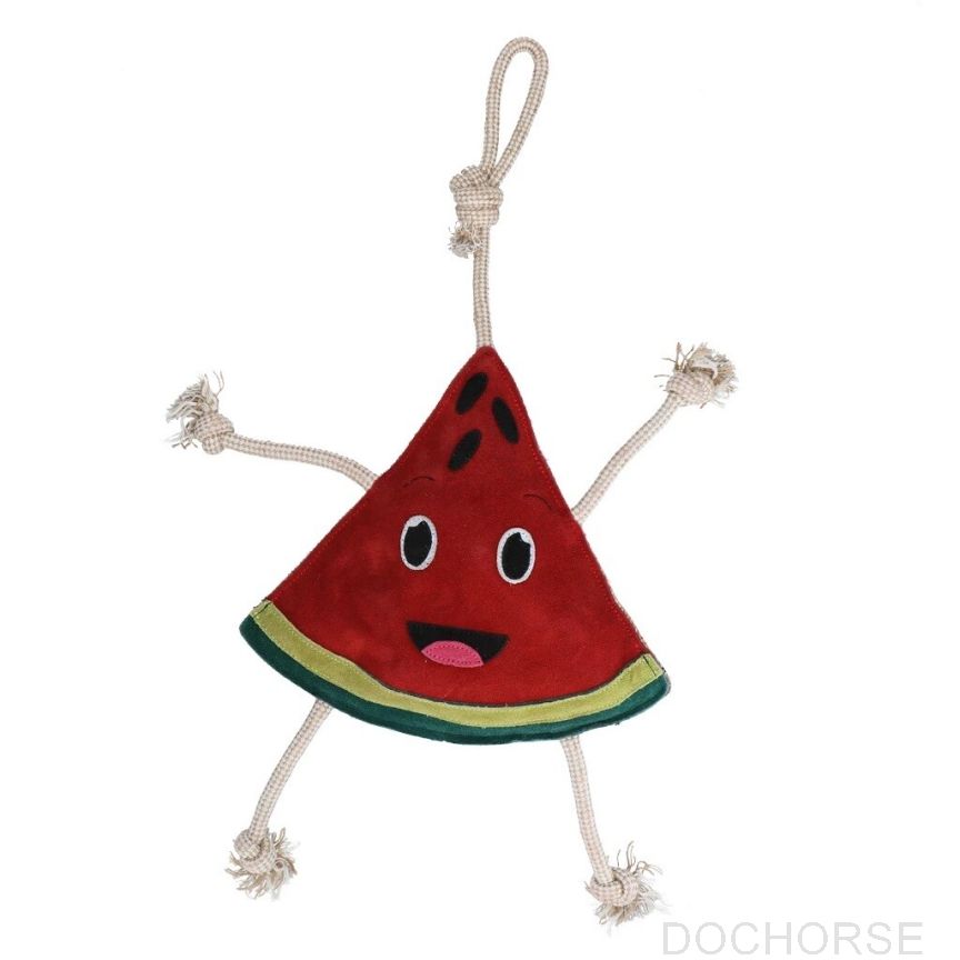 Excellent Horse Foodie Friends Watermelon