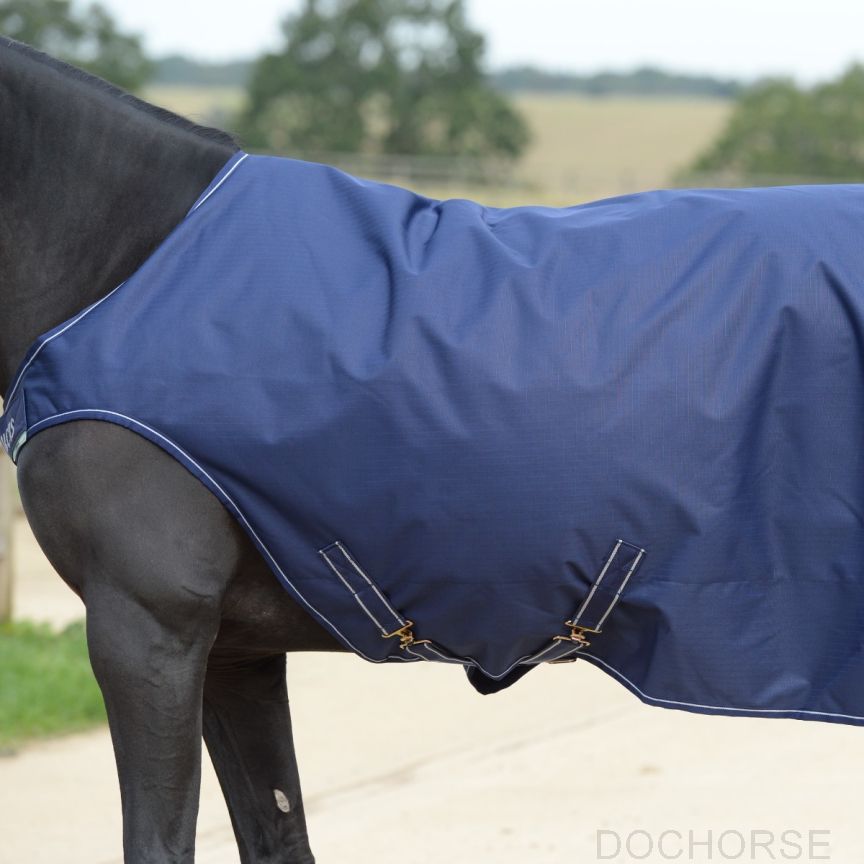 Bucas Walker Rug