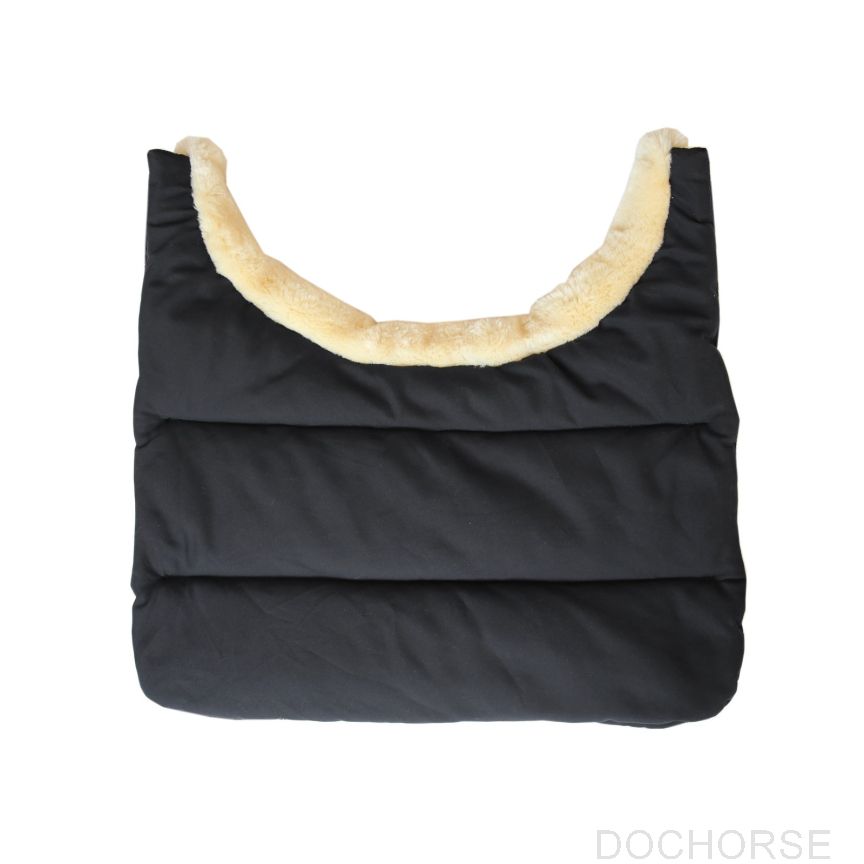 Kentucky Bib winter