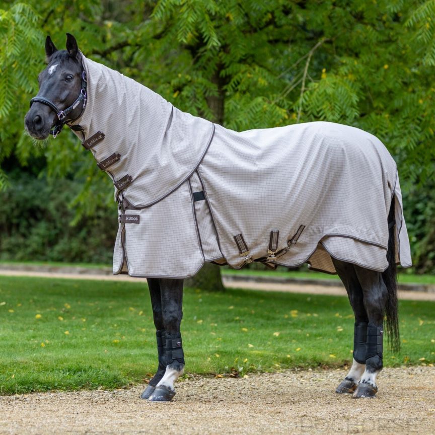Lemieux Field Rug