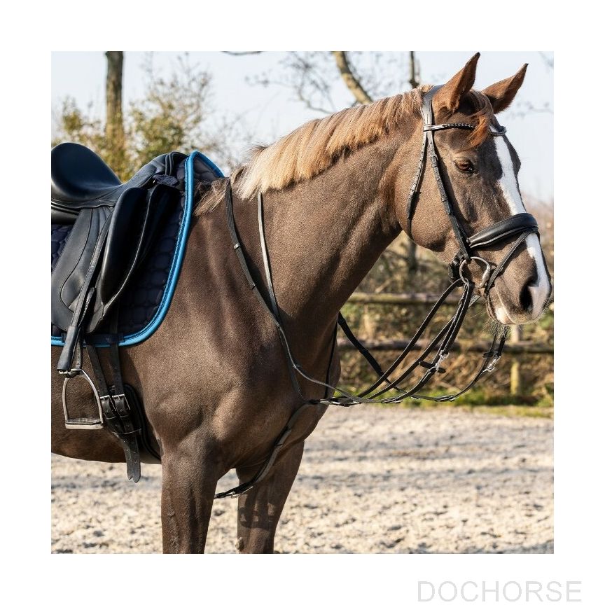 QHP Thiedeman Rein Set Horse
