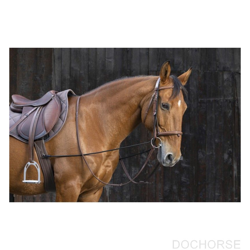 Norton Elastic Training Reins
