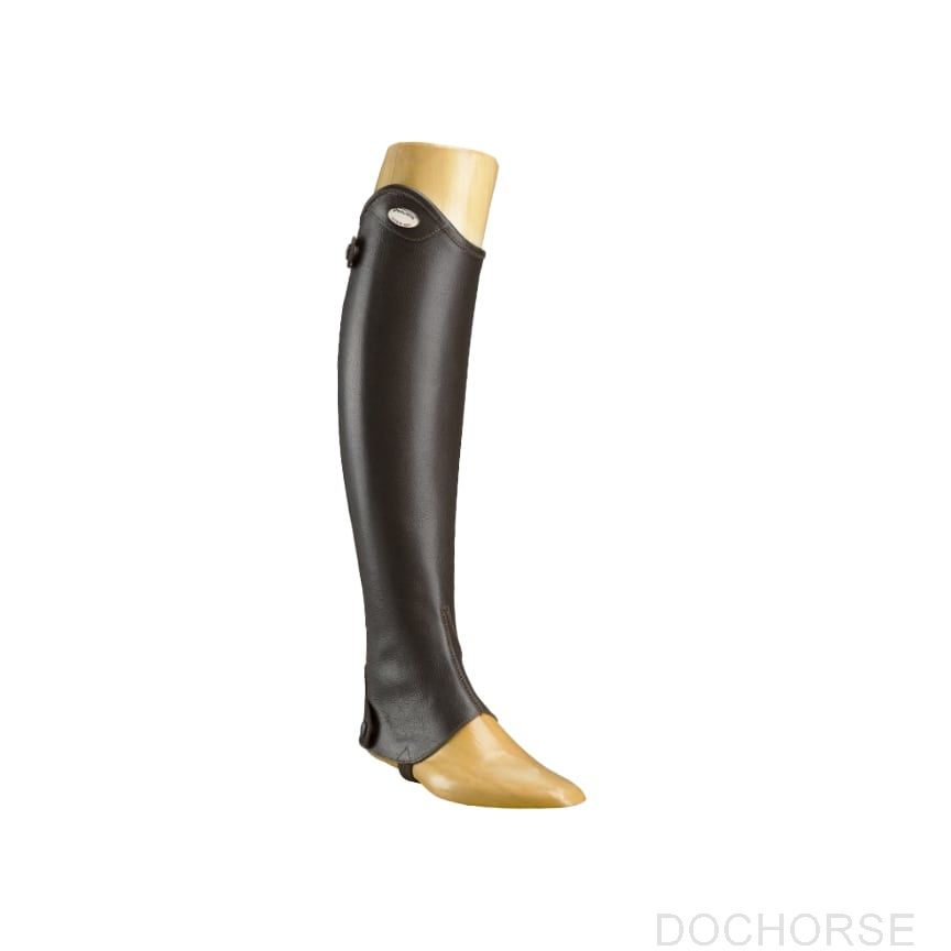 Parlanti chaps bruin