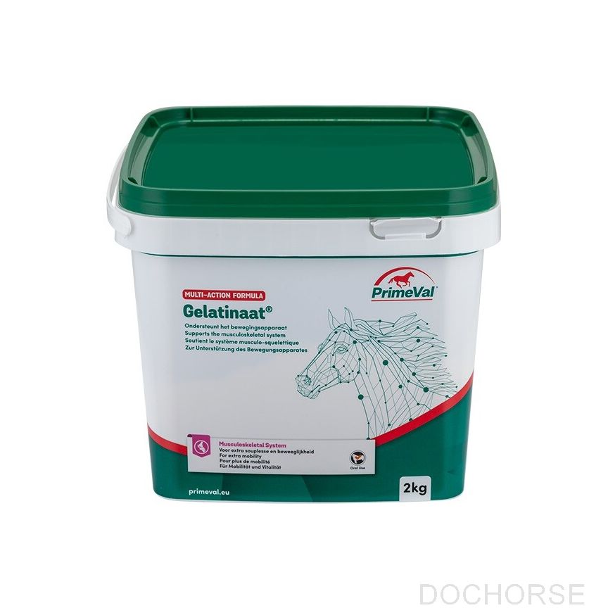 Primeval Gelatinaat